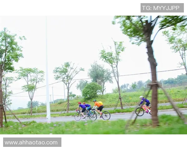 武汉羽毛球队加速转型探索新路径助力羽毛球运动发展