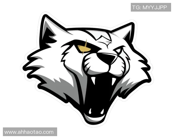 CSGO赛事热议：LNG战队比赛经验引发的争议与讨论